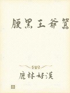 腹黑王爷嚣张妻