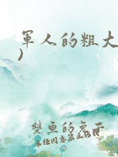 军人的粗大(h)
