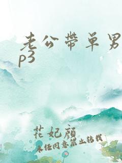 老公带单男回来p3