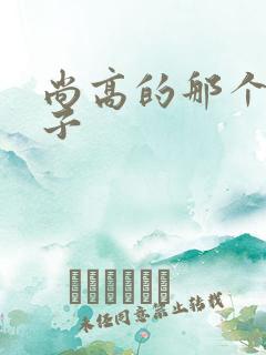 尚高的那个臭小子