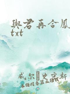 与君再合凤求凰txt