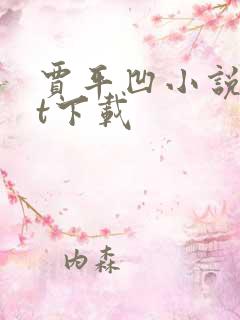 贾平凹小说txt下载