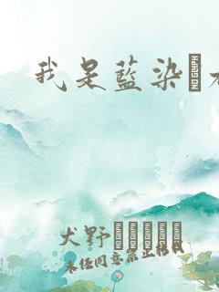 我是蓝染惣右介