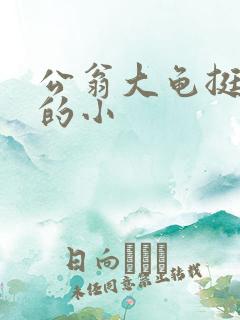公翁大龟挺进我的小