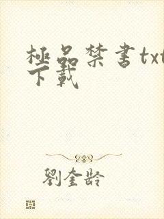 极品禁书txt下载