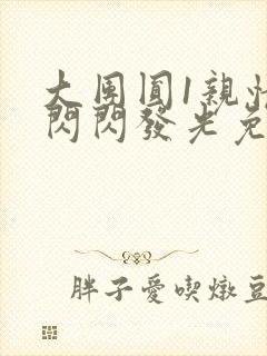 大团圆1亲情会闪闪发光免费