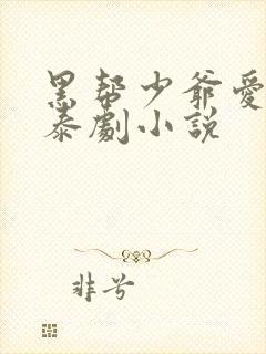 黑帮少爷爱上我泰剧小说