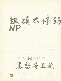 粗硕不停的进出NP