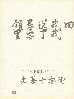 领导送我回家车里要了我