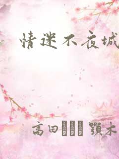 情迷不夜城
