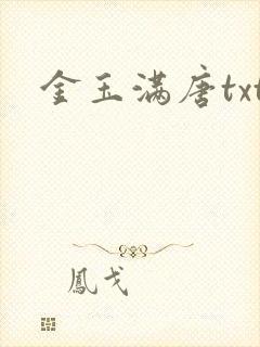金玉满唐txt