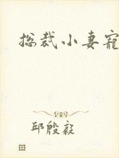 总裁小妻宠上天