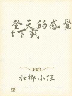 登天的感觉txt下载