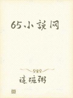 65小说网
