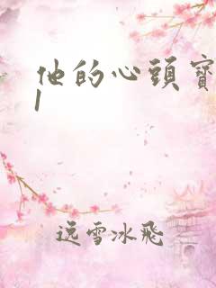 他的心头宝1v1
