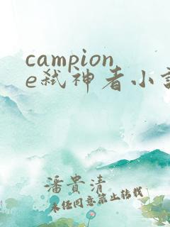 campione弑神者小说