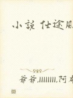 小说 仕途风流