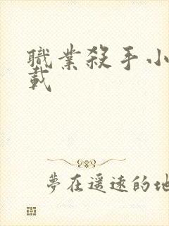 职业杀手小说下载