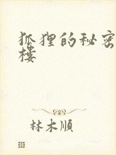 狐狸的秘密19楼