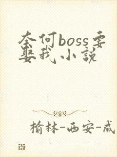 奈何boss要娶我小说