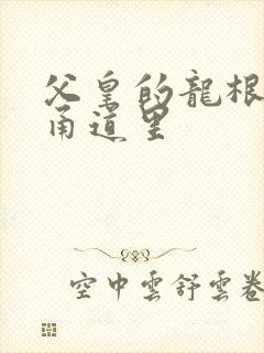 父皇的龙根在我甬道里