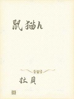鼠猫h