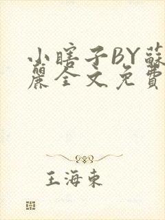 小瞎子BY苏玛丽全文免费笔趣阁