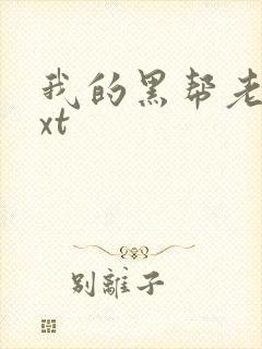 我的黑帮老公txt