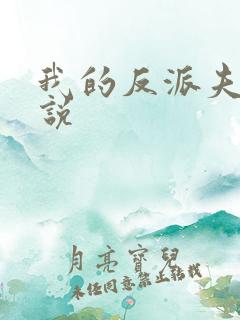 我的反派夫君小说