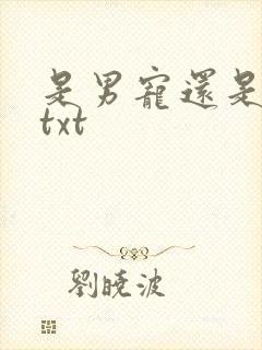 是男宠还是禁脔txt