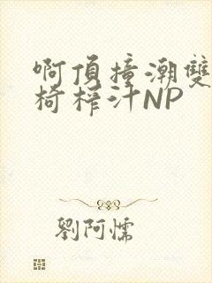 啊顶撞潮双H龙椅榨汁NP