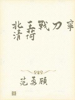 北王战刀宁北苏清荷