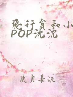 飞行员和小空乘POP沈沉