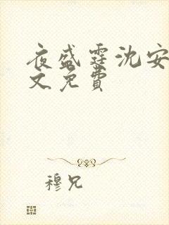 夜盛霆沈安然全文免费