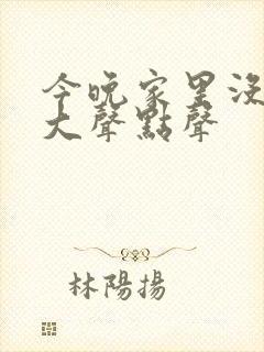 今晚家里没人叫大声点声