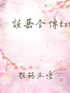 说岳全传txt