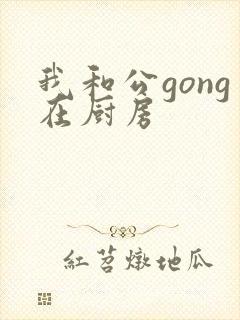 我和公gong在厨房