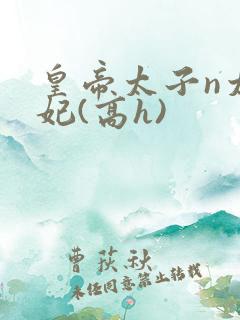皇帝太子n太子妃(高h)
