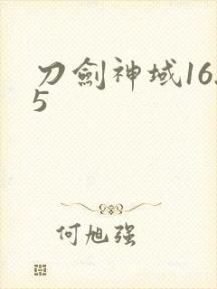 刀剑神域16.5