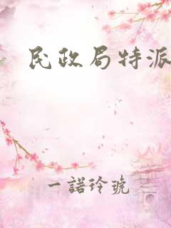 民政局特派对象