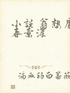 小说 翁想房中春意浓