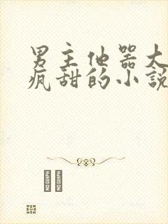 男主他器大活好疯甜的小说