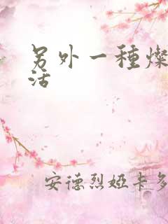 另外一种灿烂生活