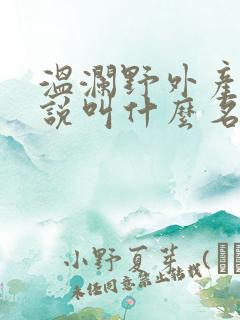 温澜野外产子小说叫什么名字