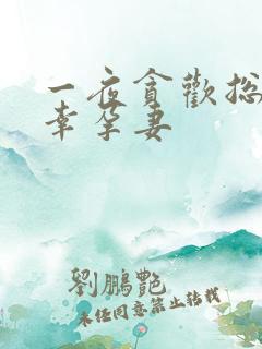 一夜贪欢总裁的幸孕妻