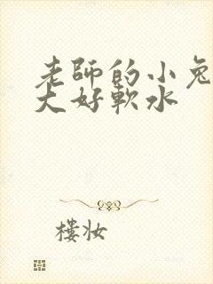 老师的小兔子好大好软水