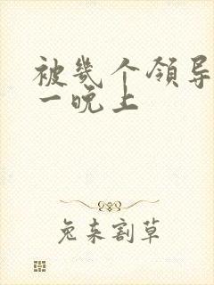 被几个领导玩弄一晚上