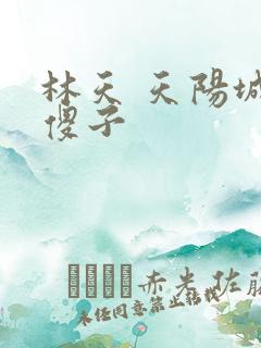 林天 天阳城 傻子