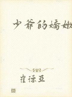 少爷的娇嫩女仆