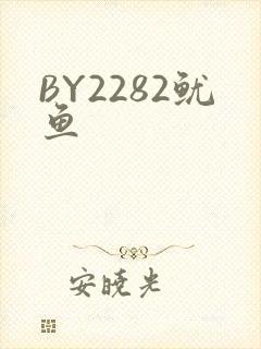 BY2282鱿鱼